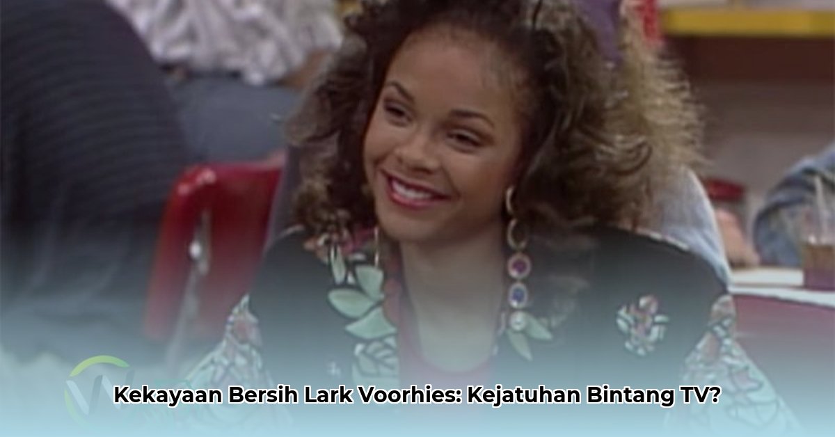 lark voorhies net worth